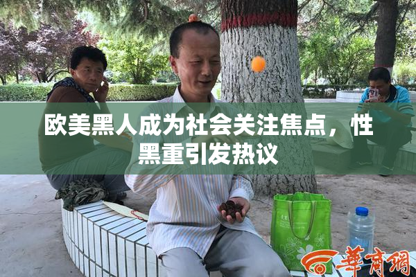欧美黑人成为社会关注焦点，性黑重引发热议