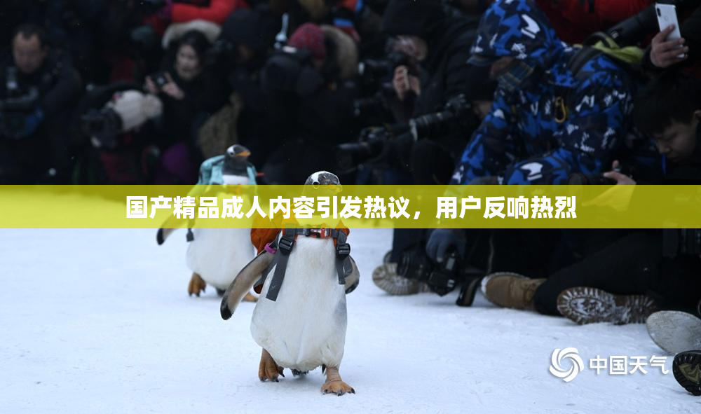 国产精品成人内容引发热议，用户反响热烈