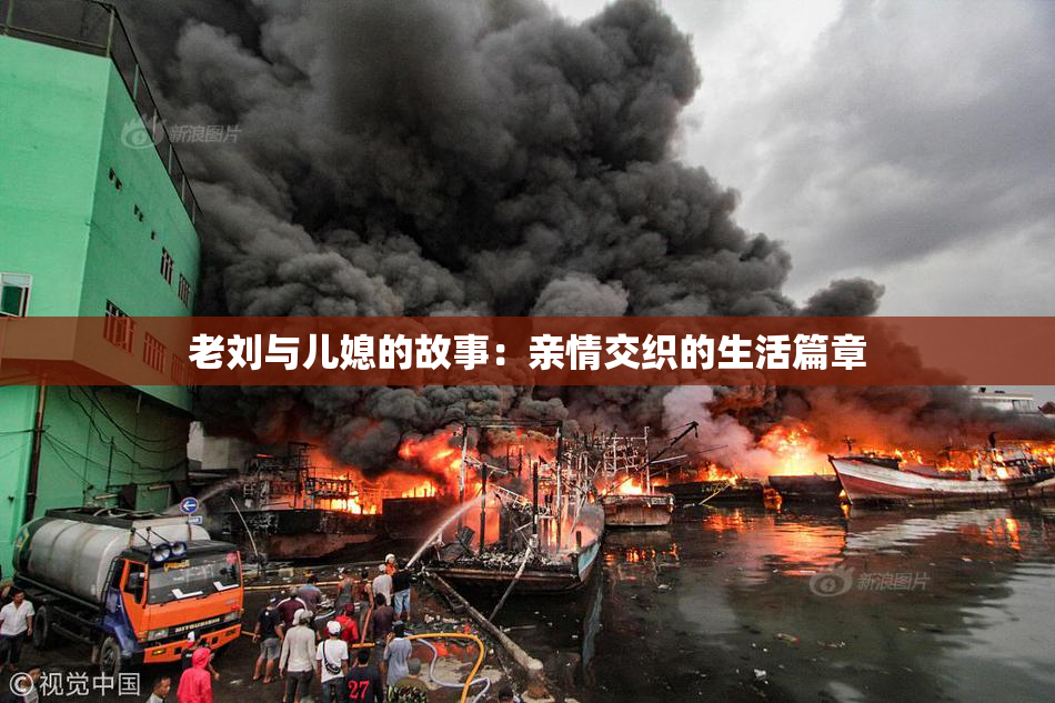 老刘与儿媳的故事：亲情交织的生活篇章