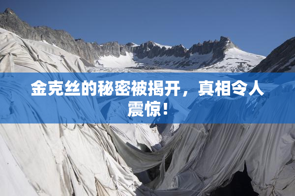 金克丝的秘密被揭开，真相令人震惊！