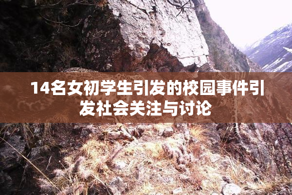 14名女初学生引发的校园事件引发社会关注与讨论