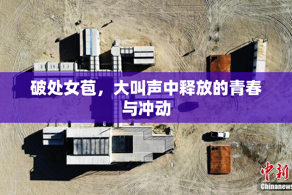 破处女苞，大叫声中释放的青春与冲动