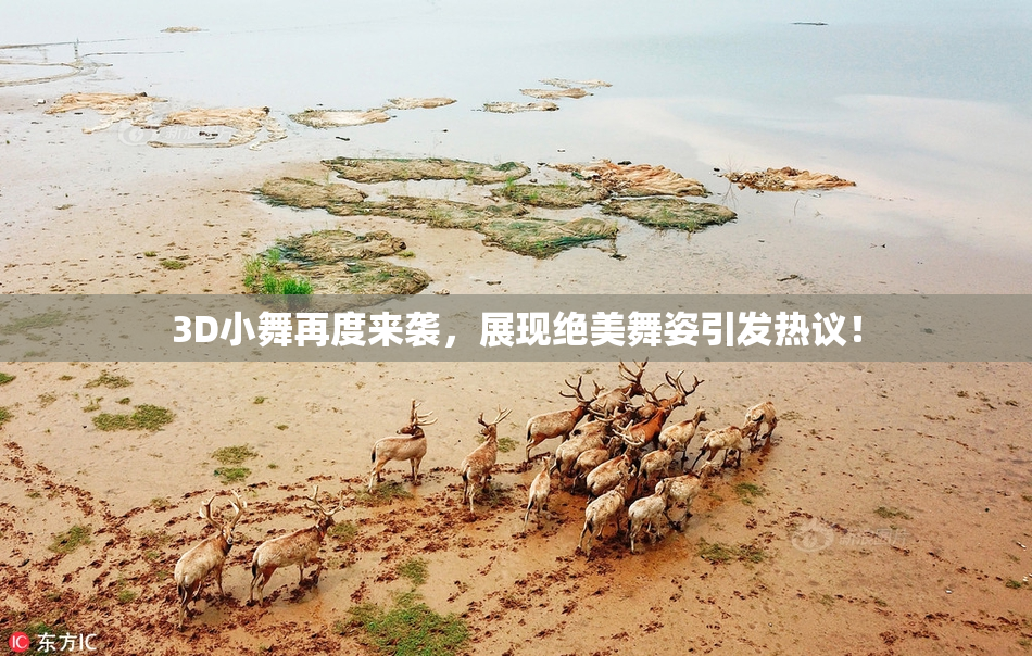 3D小舞再度来袭，展现绝美舞姿引发热议！