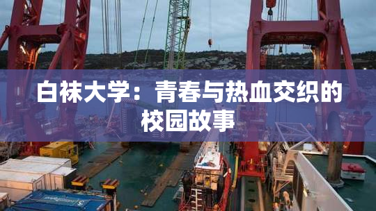 白袜大学：青春与热血交织的校园故事