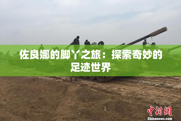 佐良娜的脚丫之旅：探索奇妙的足迹世界