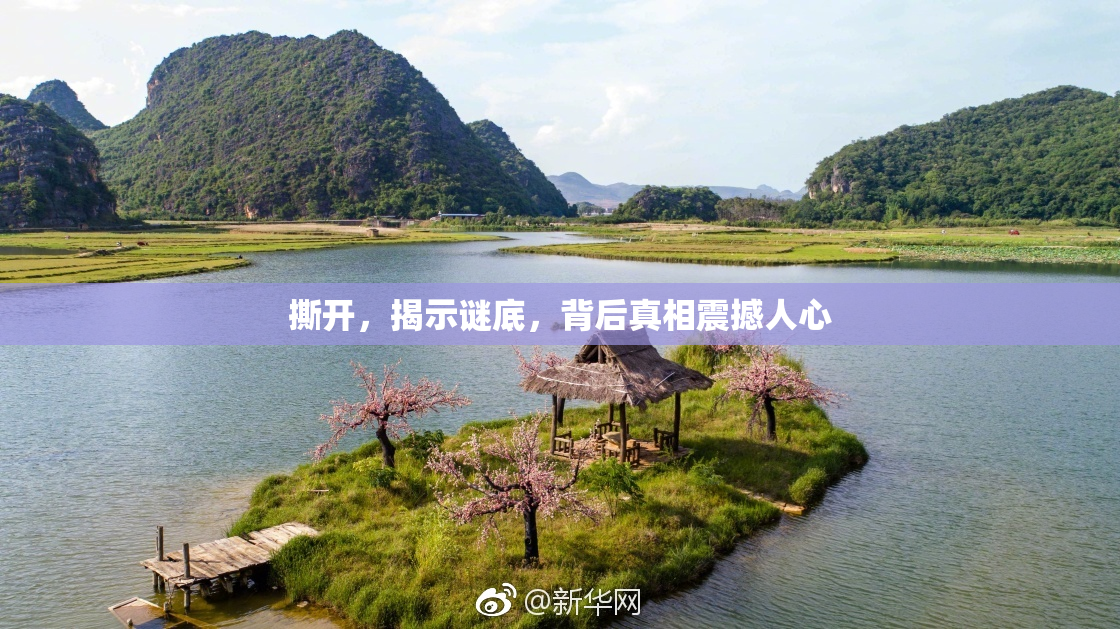 撕开，揭示谜底，背后真相震撼人心