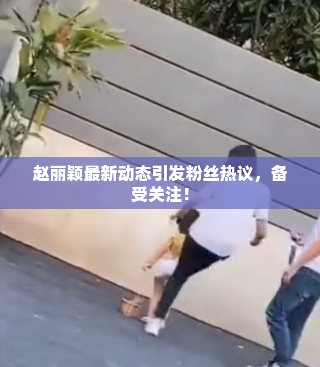 赵丽颖最新动态引发粉丝热议，备受关注！