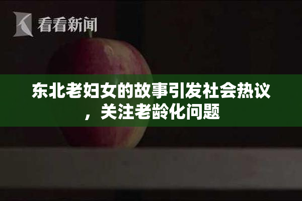 东北老妇女的故事引发社会热议，关注老龄化问题