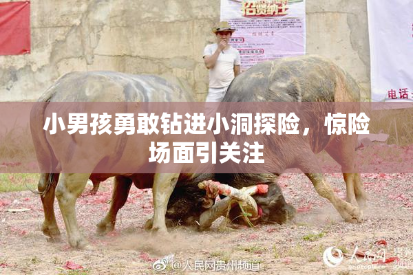 小男孩勇敢钻进小洞探险，惊险场面引关注