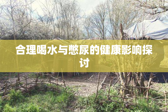 合理喝水与憋尿的健康影响探讨