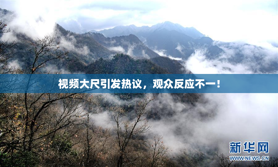 视频大尺引发热议，观众反应不一！