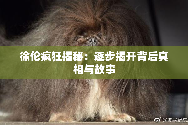 徐伦疯狂揭秘：逐步揭开背后真相与故事