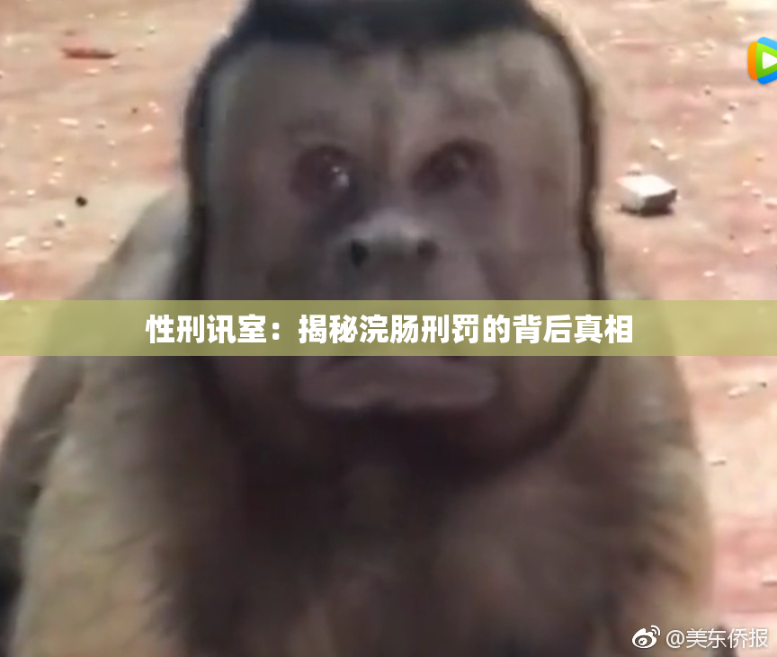 性刑讯室：揭秘浣肠刑罚的背后真相