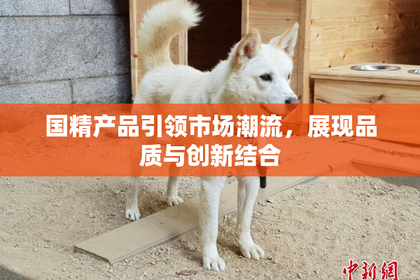 国精产品引领市场潮流，展现品质与创新结合