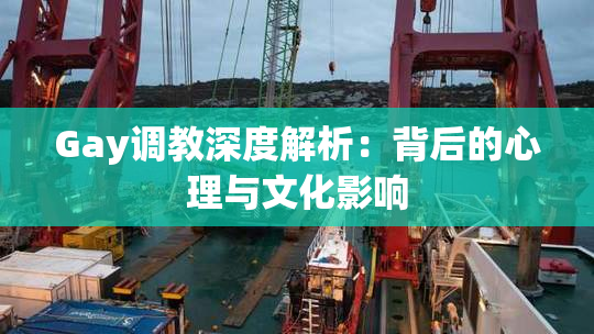 Gay调教深度解析：背后的心理与文化影响