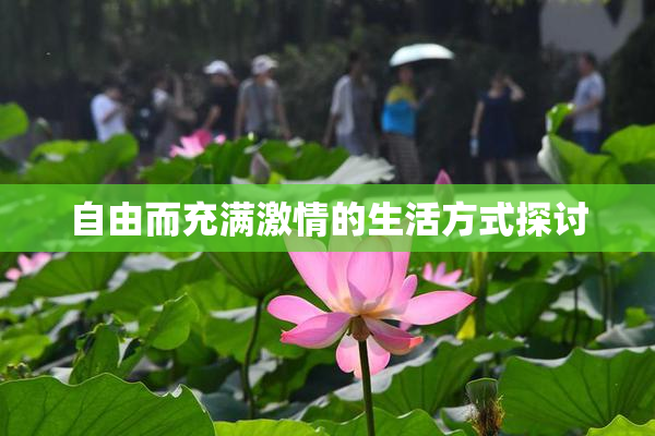 自由而充满激情的生活方式探讨