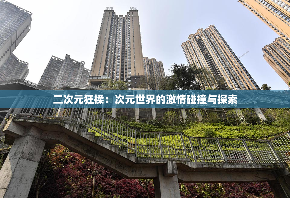 二次元狂揉：次元世界的激情碰撞与探索