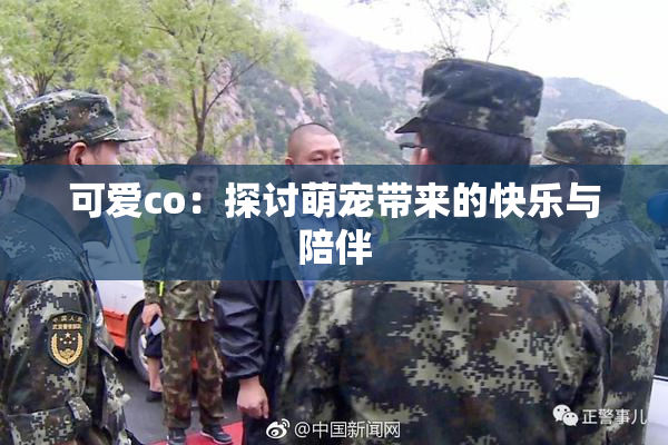 可爱co：探讨萌宠带来的快乐与陪伴