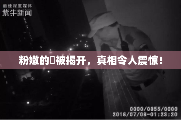 粉嫩的泬被揭开，真相令人震惊！