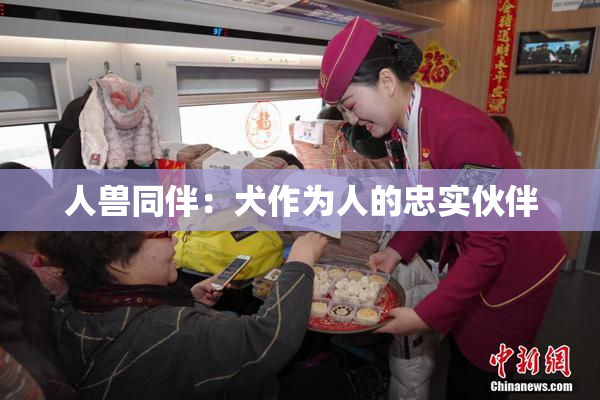 人兽同伴：犬作为人的忠实伙伴