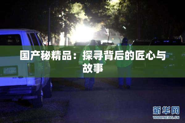 国产秘精品：探寻背后的匠心与故事