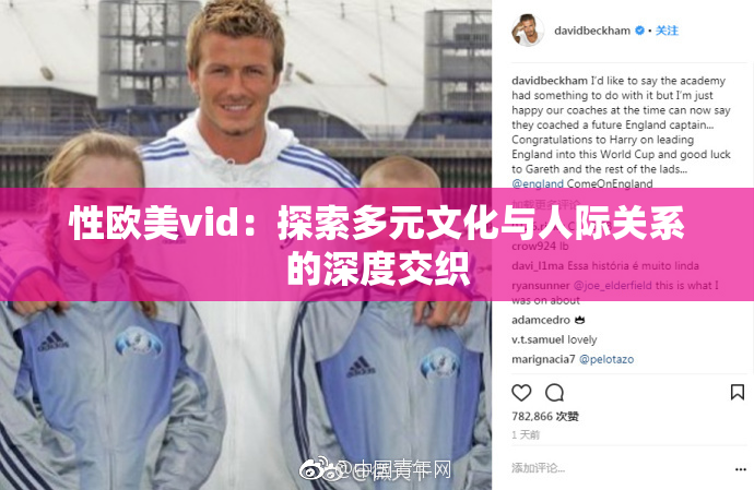 性欧美vid：探索多元文化与人际关系的深度交织