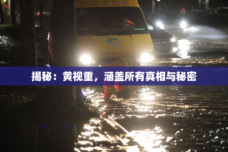 揭秘：黄视重，涵盖所有真相与秘密