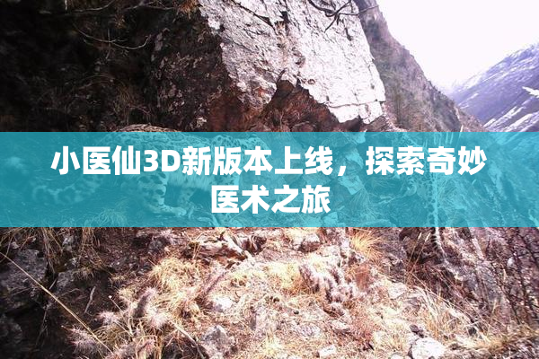 小医仙3D新版本上线，探索奇妙医术之旅