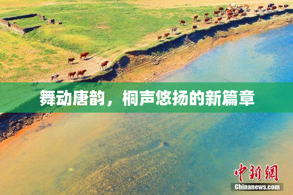 舞动唐韵，桐声悠扬的新篇章