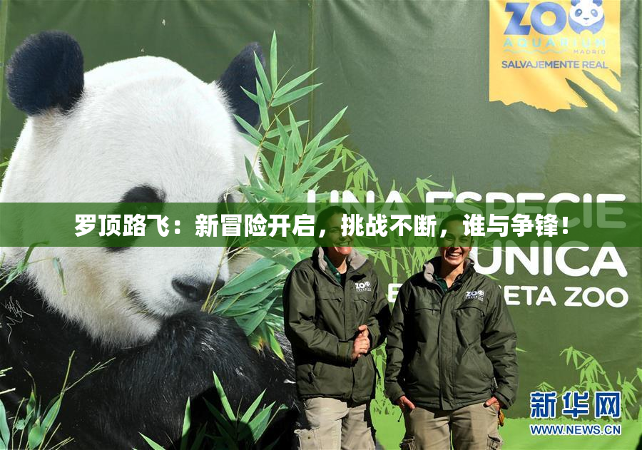 罗顶路飞：新冒险开启，挑战不断，谁与争锋！
