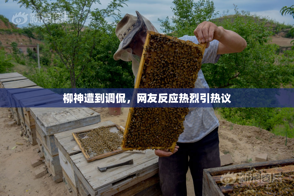 柳神遭到调侃，网友反应热烈引热议
