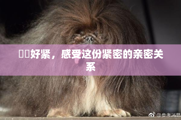 妺妺好紧，感受这份紧密的亲密关系