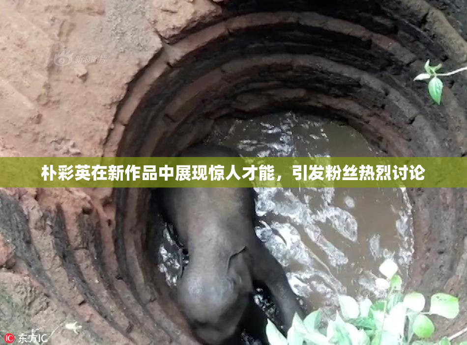 朴彩英在新作品中展现惊人才能，引发粉丝热烈讨论