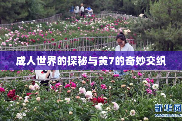 成人世界的探秘与黄7的奇妙交织