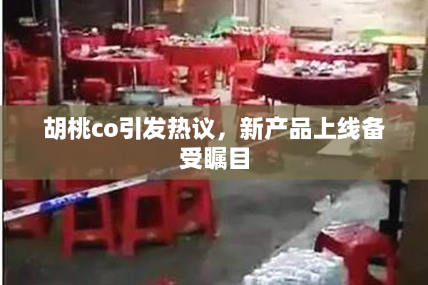 胡桃co引发热议，新产品上线备受瞩目