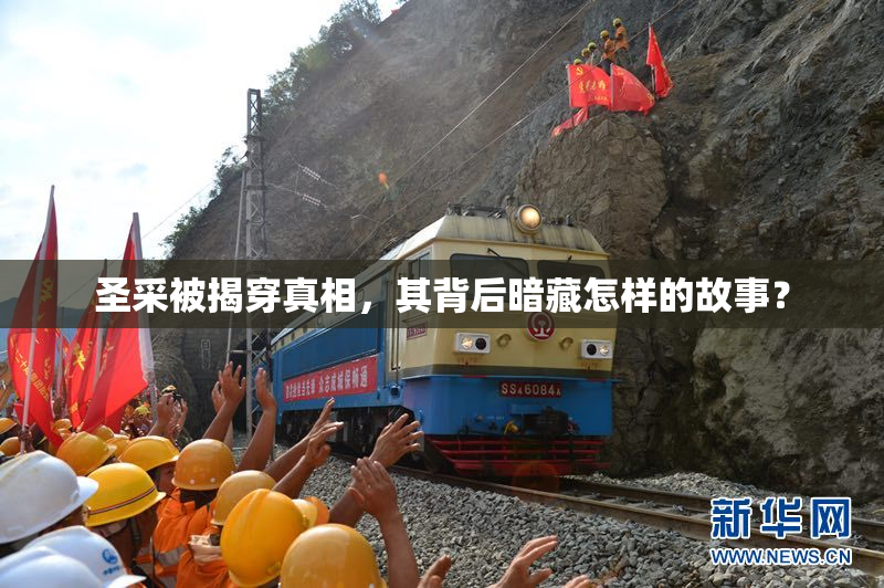 圣采被揭穿真相，其背后暗藏怎样的故事？