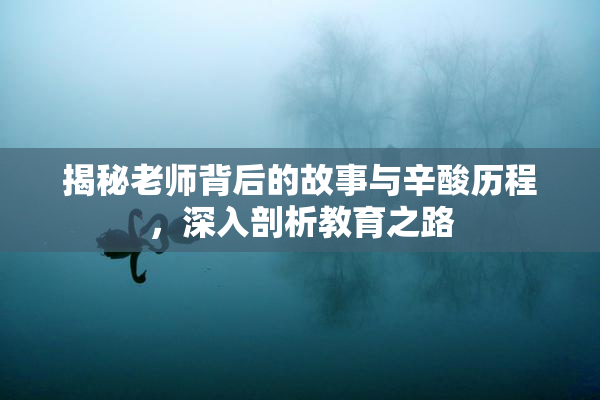揭秘老师背后的故事与辛酸历程，深入剖析教育之路