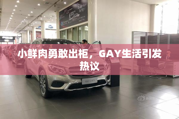 小鲜肉勇敢出柜，GAY生活引发热议