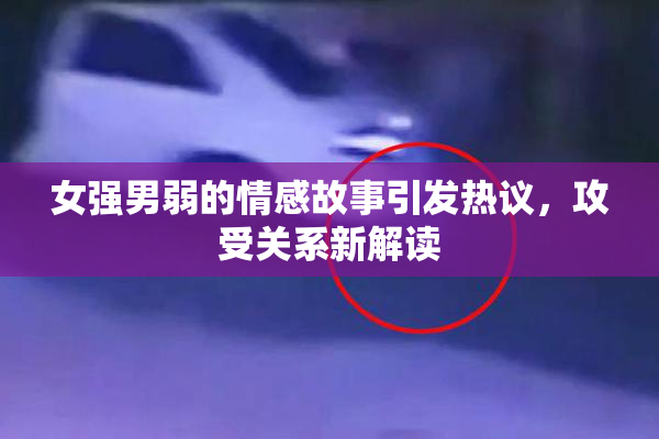 女强男弱的情感故事引发热议，攻受关系新解读