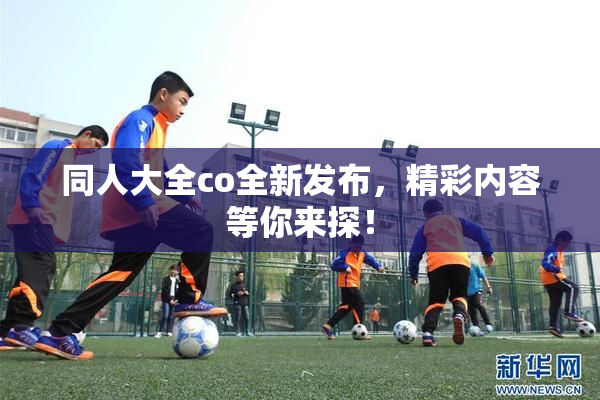 同人大全co全新发布，精彩内容等你来探！