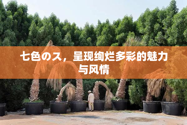 七色のス，呈现绚烂多彩的魅力与风情