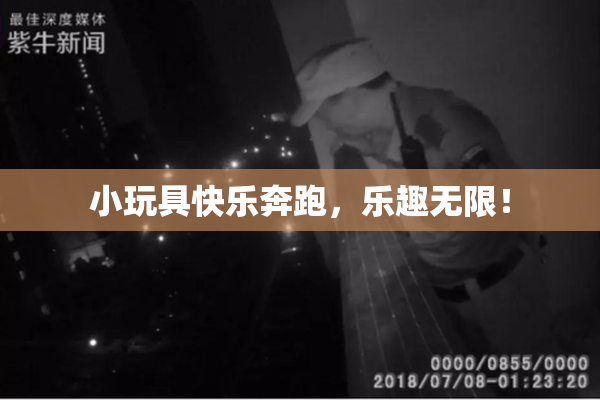 小玩具快乐奔跑，乐趣无限！