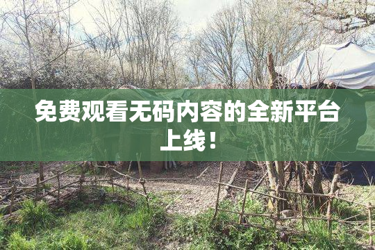 免费观看无码内容的全新平台上线！