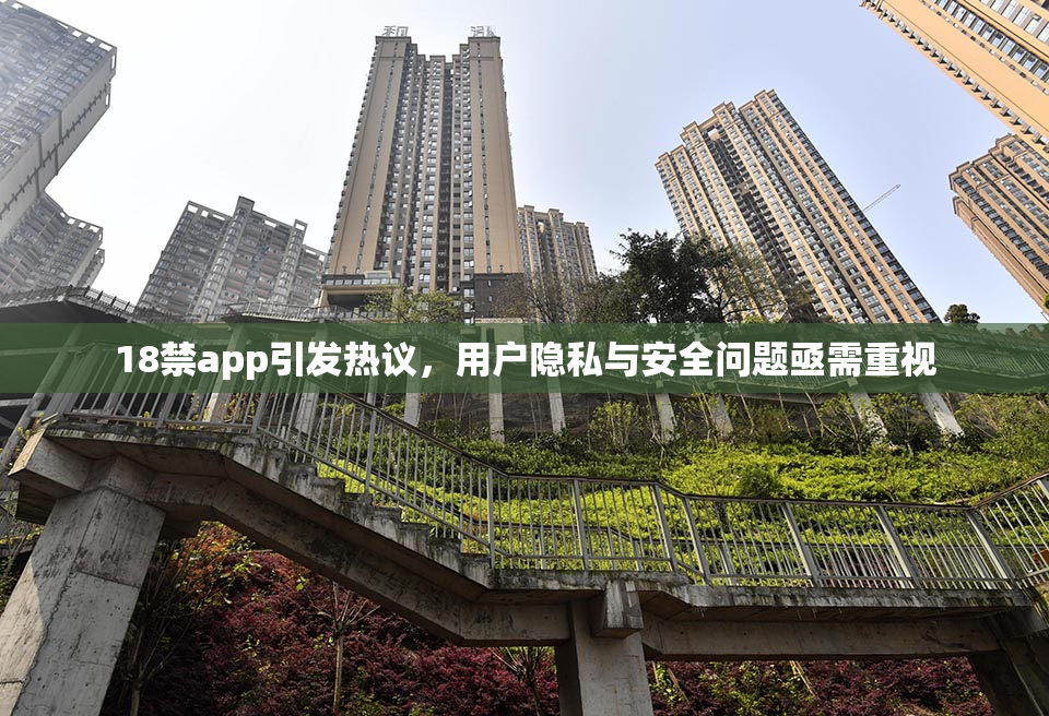 18禁app引发热议，用户隐私与安全问题亟需重视