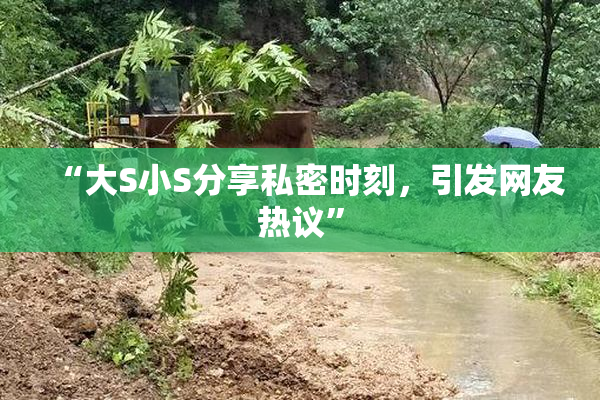 “大S小S分享私密时刻，引发网友热议”