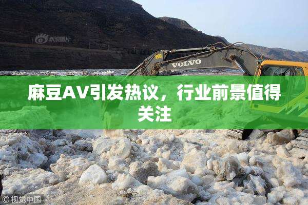 麻豆A∨引发热议，行业前景值得关注