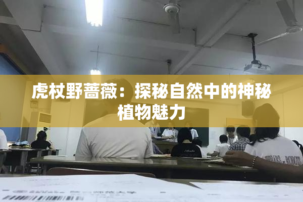 虎杖野蔷薇：探秘自然中的神秘植物魅力