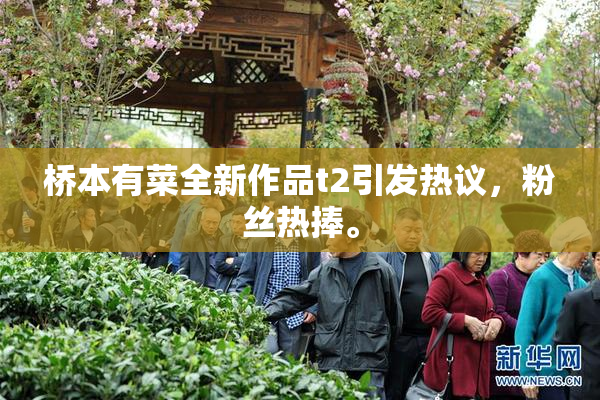 桥本有菜全新作品t2引发热议，粉丝热捧。