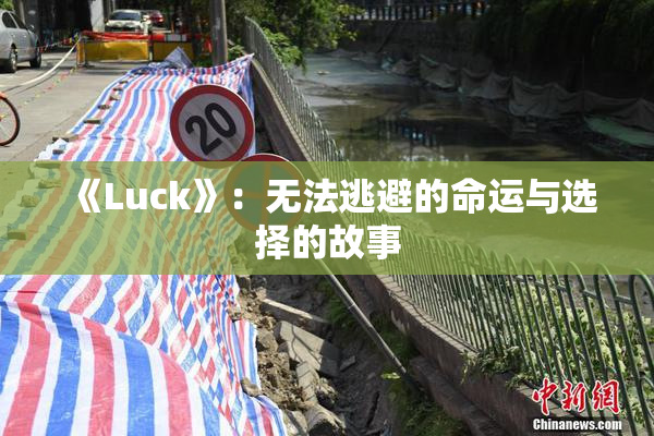 《Luck》：无法逃避的命运与选择的故事