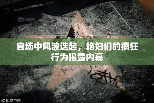 官场中风波迭起，艳妇们的疯狂行为揭露内幕
